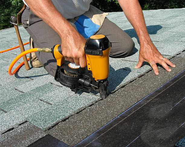 Best Roof Gutter Cleaning  in Lake Forest Park, WA