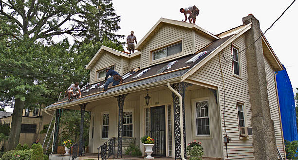 Best Best Roofing Contractors  in Lake Forest Park, WA