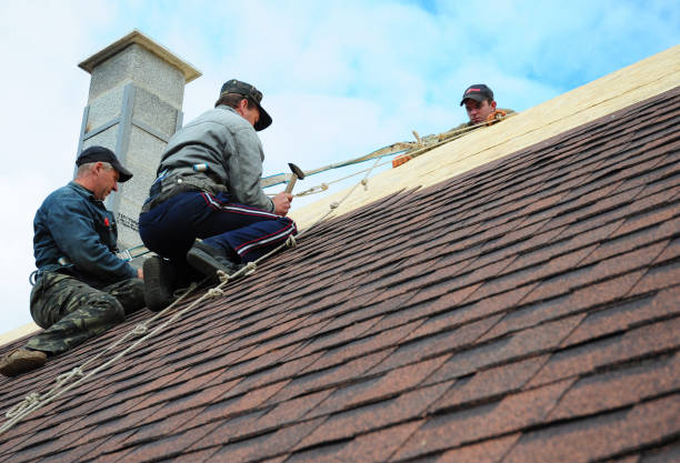 Best Flat Roof Repair Services  in Lake Forest Park, WA