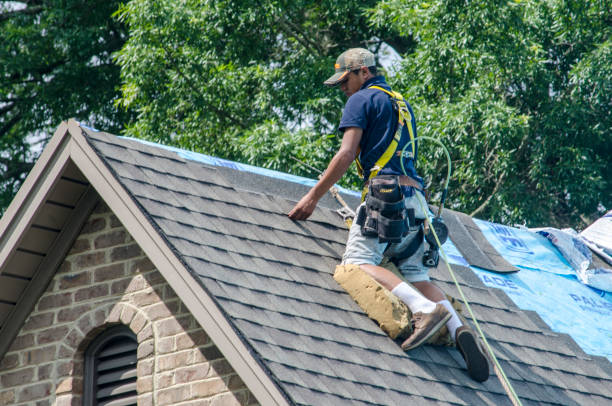 Quick and Trustworthy Emergency Roof Repair Services in Lake Forest Park, WA